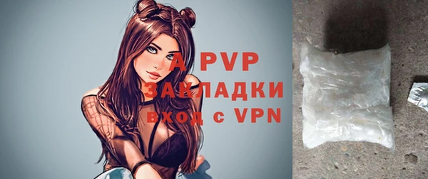 ПСИЛОЦИБИНОВЫЕ ГРИБЫ Рославль