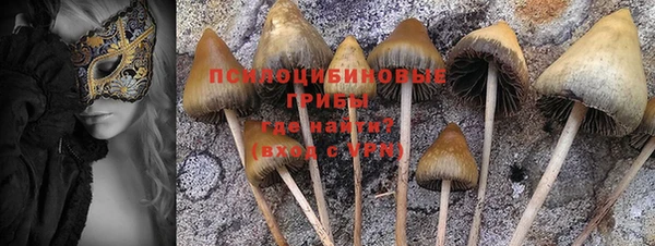 МДПВ Ростов