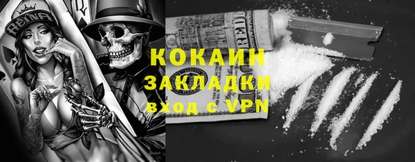 ПСИЛОЦИБИНОВЫЕ ГРИБЫ Рославль