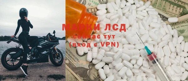 ПСИЛОЦИБИНОВЫЕ ГРИБЫ Рославль