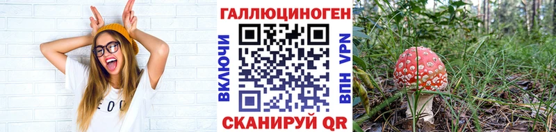это какой сайт  МЕГА сайт  Елизаветинская  цена   Псилоцибиновые грибы прущие грибы 